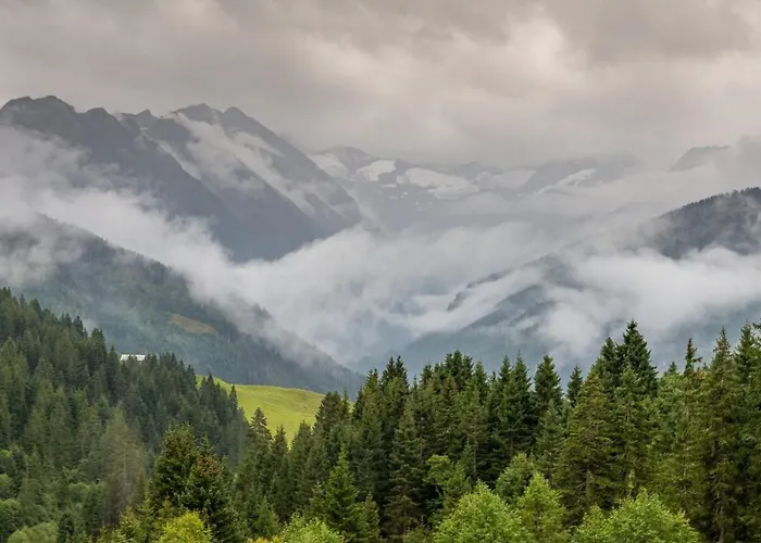 Guest house Michaela 3*