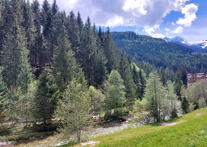 Guest house Michaela 3*