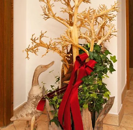 Michaela Guest house